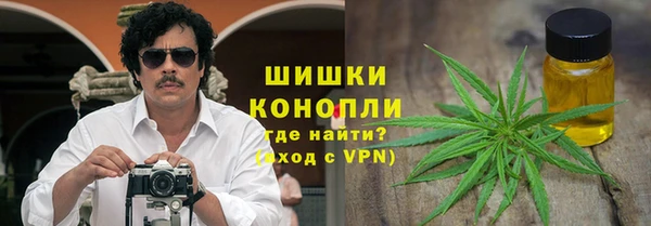 сатива Армянск