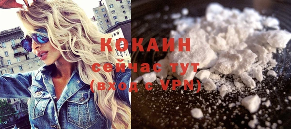 сатива Балахна