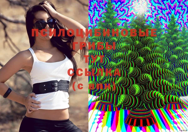 дмт Балабаново