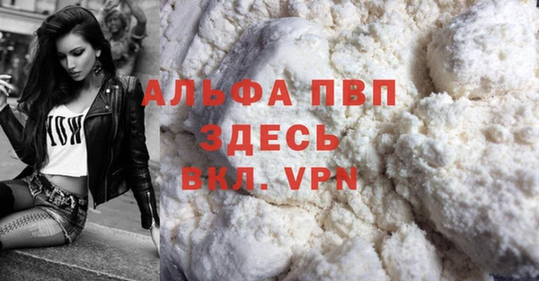 сатива Армянск