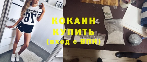 сатива Балахна