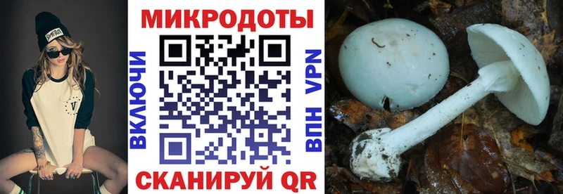 наркошоп  Калининск  Псилоцибиновые грибы Cubensis 